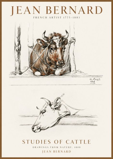 Jean Bernard Studies of Cattle III No1 - Poster