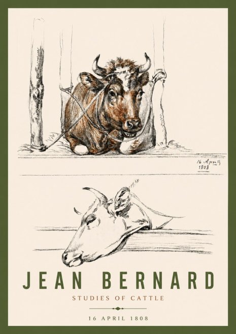 Jean Bernard Studies of Cattle III No4 - Poster