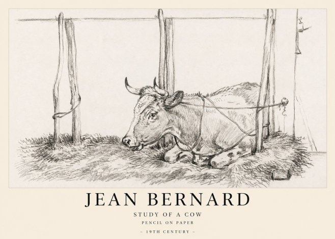 Jean Bernard A Resting Cow No2 - Poster