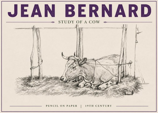 Jean Bernard A Resting Cow No6 - Poster