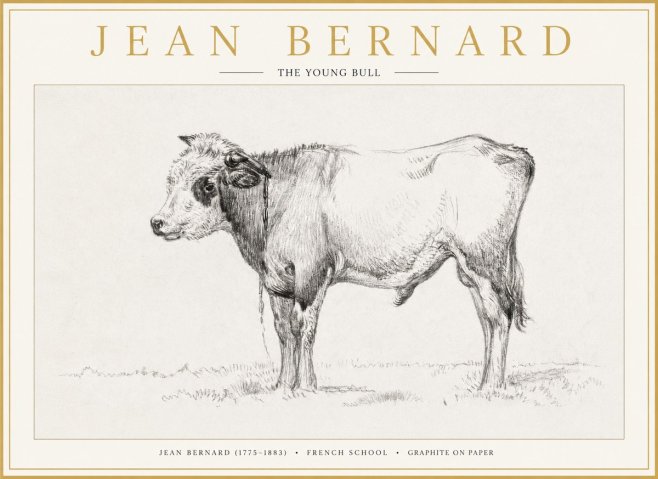 Jean Bernard The Young Bull No1 - Poster