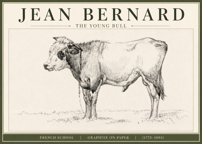 Jean Bernard The Young Bull No3 - Poster