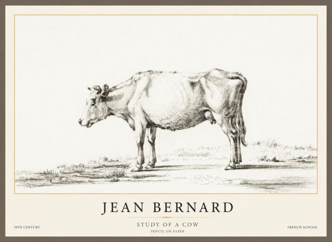 Jean Bernard Study of a Cow XI No1 - Poster