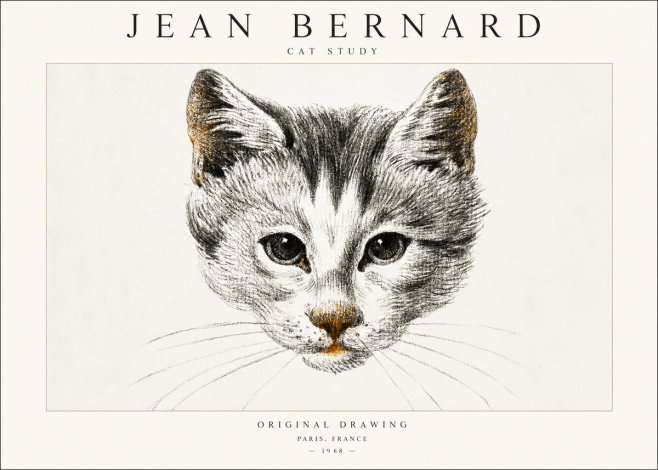 Jean Bernard Cat Study IX No6 - Poster