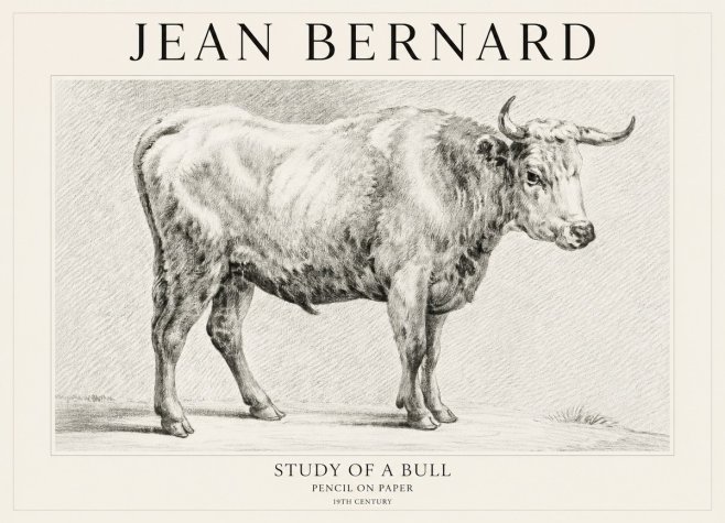 Jean Bernard Study of a Bull IV No1 - Poster