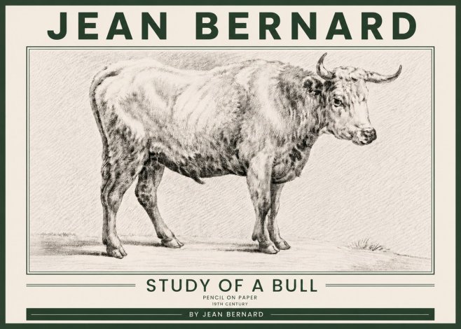 Jean Bernard Study of a Bull IV No5 - Poster