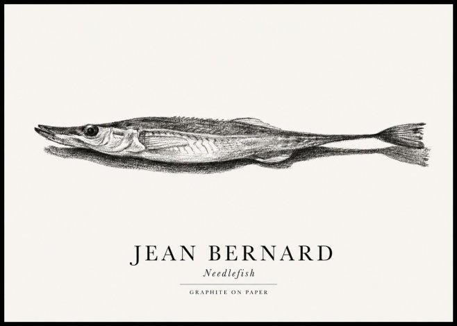Jean Bernard Needlefish No1 - Poster