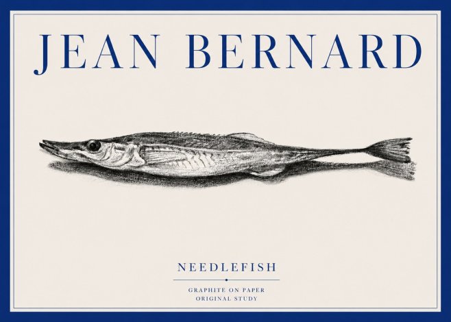 Jean Bernard Needlefish No3 - Poster