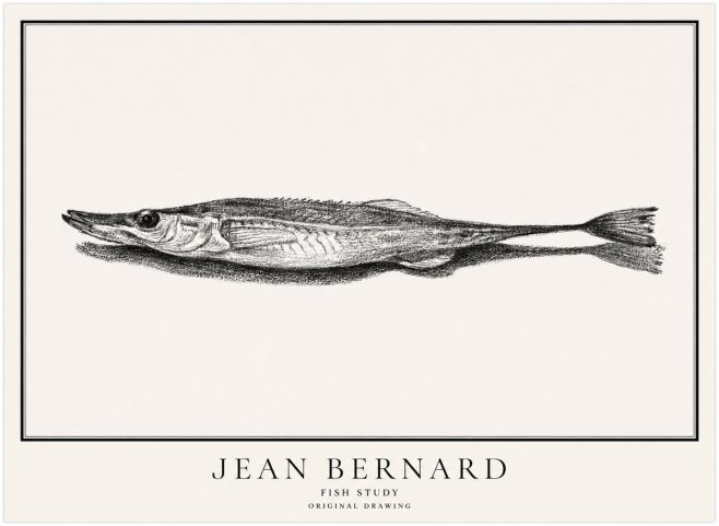 Jean Bernard Needlefish No5 - Poster