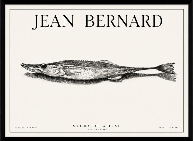 Jean Bernard Needlefish No6 - Poster