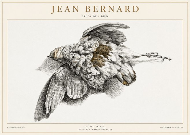 Jean Bernard Study of a Bird III No1 - Poster
