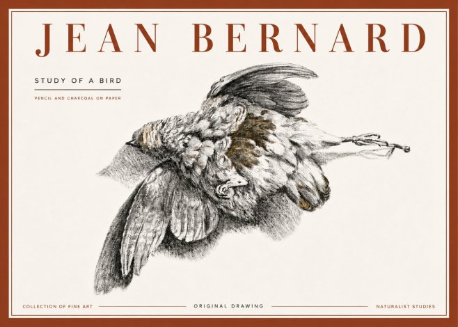 Jean Bernard Study of a Bird III No6 - Poster