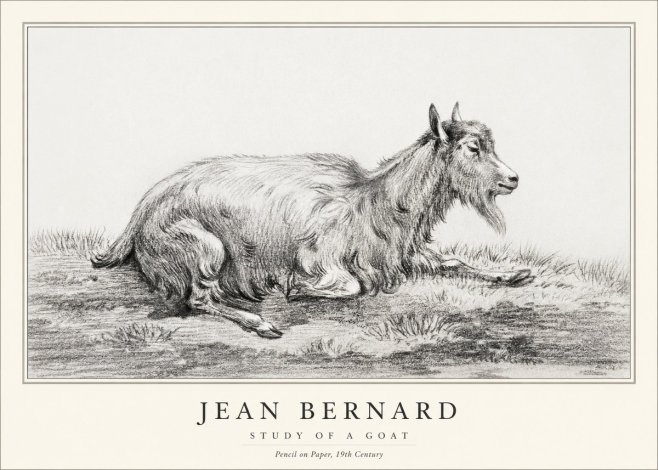 Jean Bernard Study of a Goat V No1 - Poster
