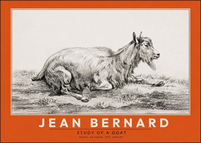 Jean Bernard Study of a Goat V No2 - Poster
