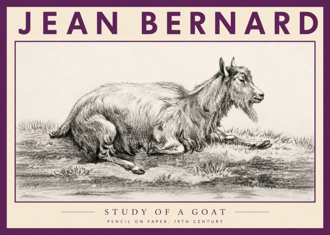 Jean Bernard Study of a Goat V No3 - Poster