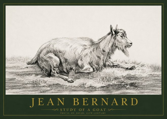 Jean Bernard Study of a Goat V No4 - Poster