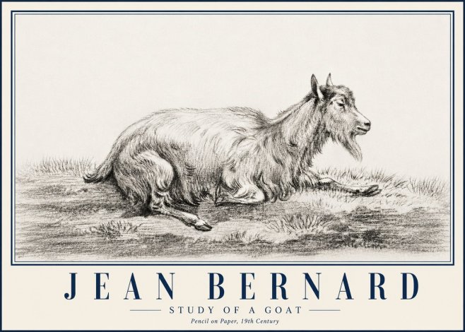 Jean Bernard Study of a Goat V No5 - Poster