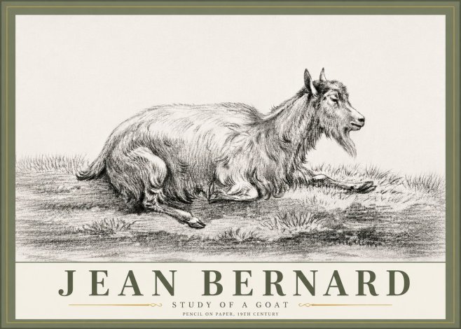 Jean Bernard Study of a Goat V No6 - Poster