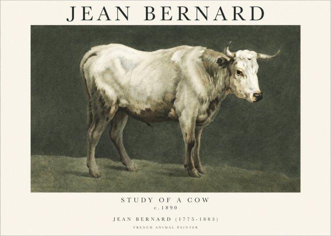 Jean Bernard Study of a Cow C. 1890 No1 - Poster