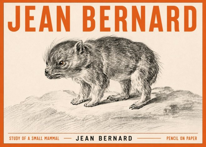 Jean Bernard Study of a Small Mammal No3 - Poster