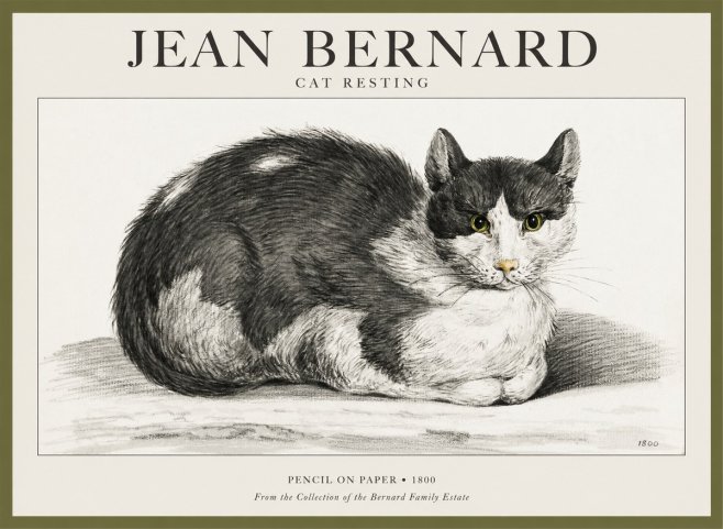 Jean Bernard Cat Resting No1 - Poster
