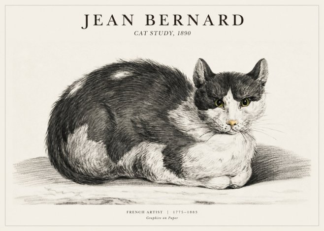 Jean Bernard Cat Resting No3 - Poster