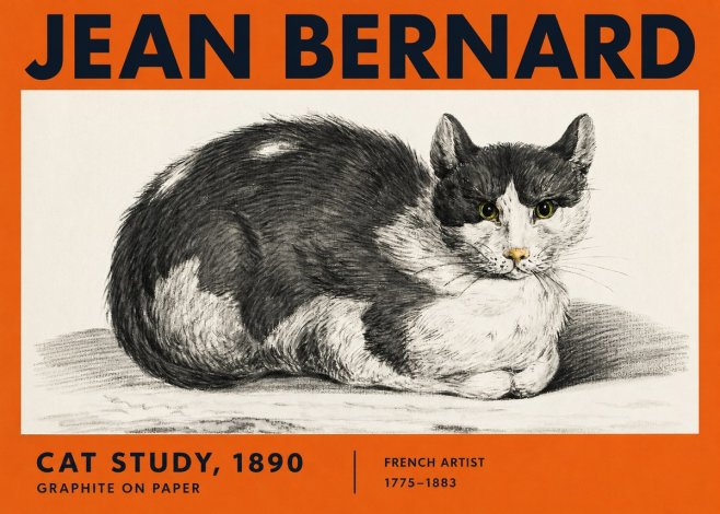 Jean Bernard Cat Resting No4 - Poster