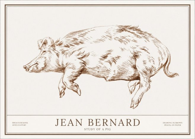 Jean Bernard Study of a Pig II No1 - Poster