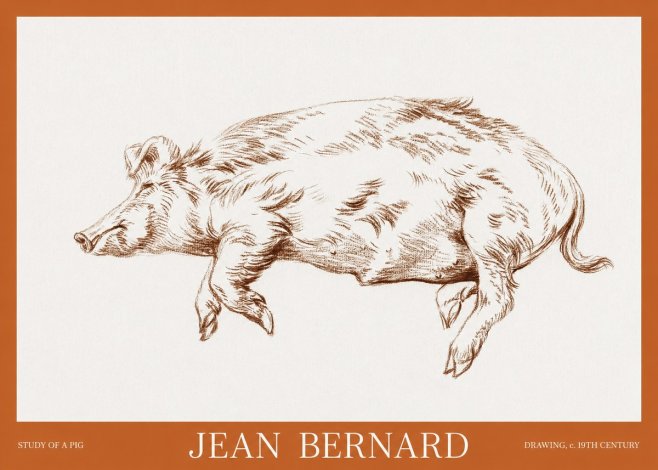 Jean Bernard Study of a Pig II No6 - Poster