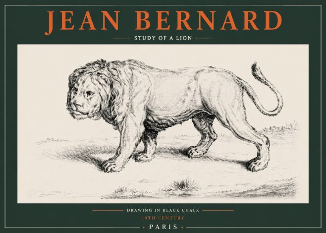Jean Bernard Study of a Lion II No2 - Poster