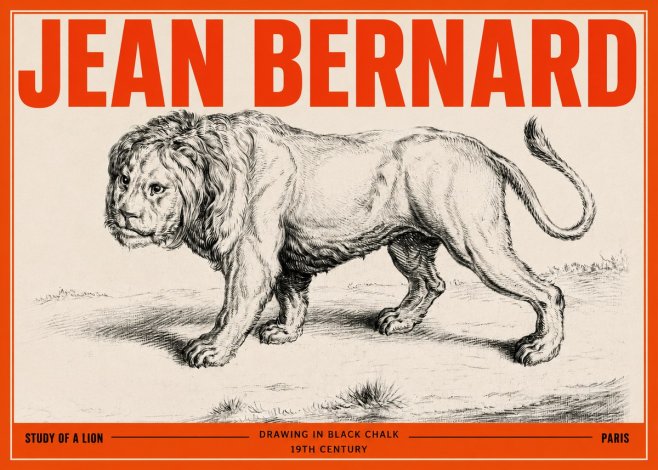 Jean Bernard Study of a Lion II No3 - Poster