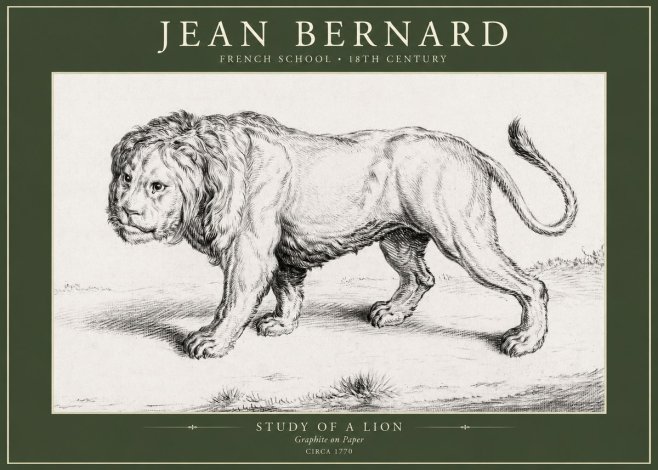 Jean Bernard Study of a Lion II No5 - Poster