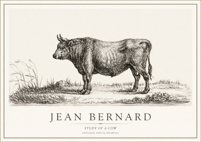 Jean Bernard Study of a Cow XIII No1 - Poster