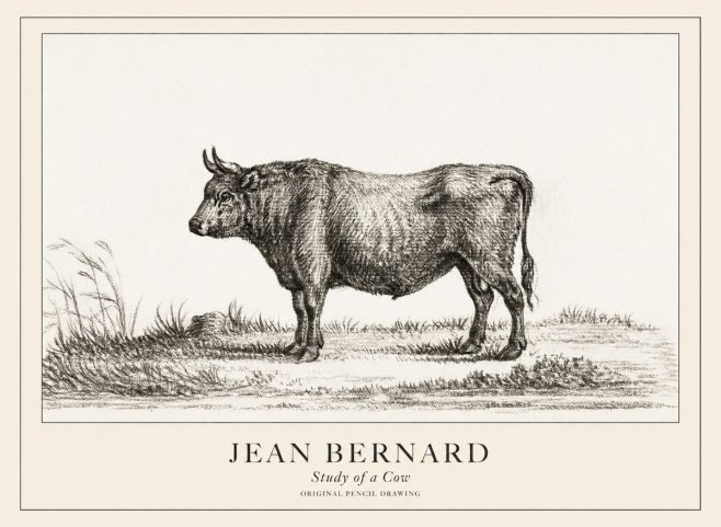 Jean Bernard Study of a Cow XIII No3 - Poster