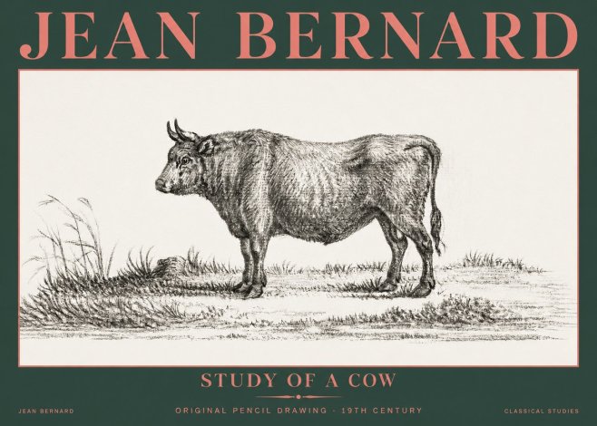 Jean Bernard Study of a Cow XIII No5 - Poster
