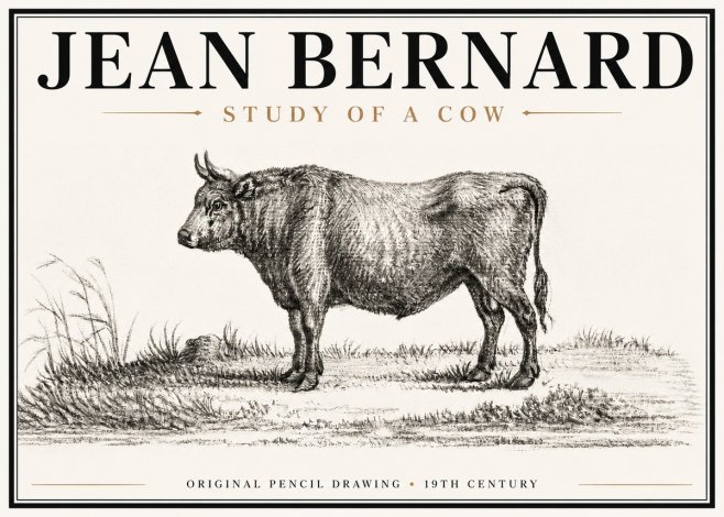 Jean Bernard Study of a Cow XIII No6 - Poster