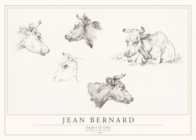 Jean Bernard Studies of Cows I No1 - Poster