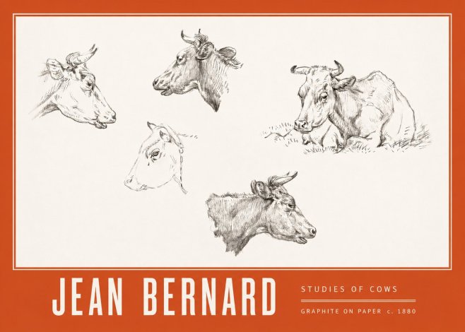 Jean Bernard Studies of Cows I No3 - Poster