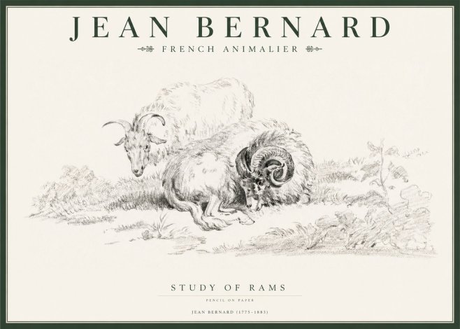 Jean Bernard Study of Sheep No2 - Poster