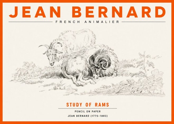 Jean Bernard Study of Sheep No3 - Poster