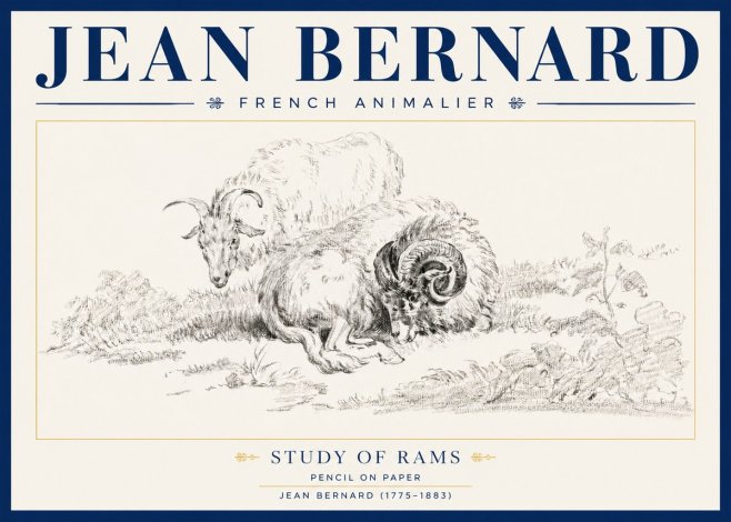 Jean Bernard Study of Sheep No4 - Poster