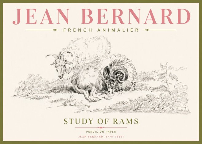 Jean Bernard Study of Sheep No5 - Poster