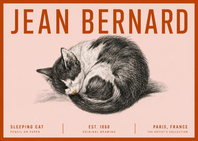 Jean Bernard Sleeping Cat VIII No5 - Poster