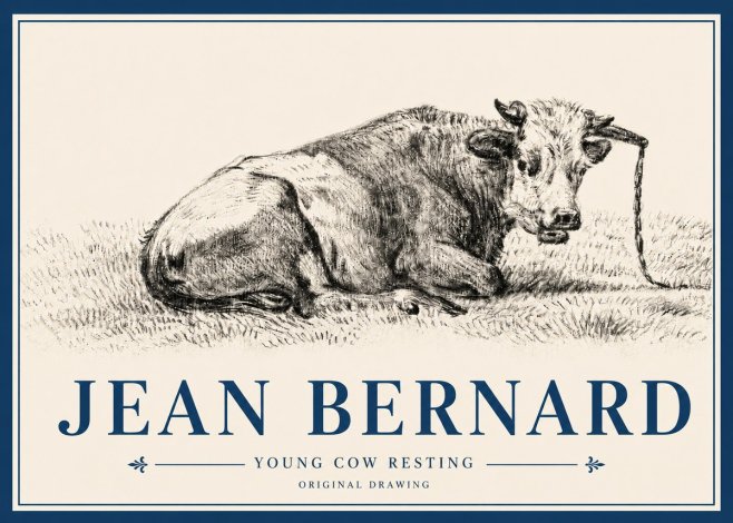 Jean Bernard Young Cow Resting No4 - Poster