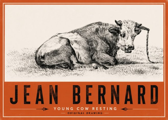 Jean Bernard Young Cow Resting No6 - Poster