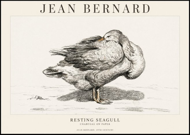 Jean Bernard Resting Seagull No1 - Poster