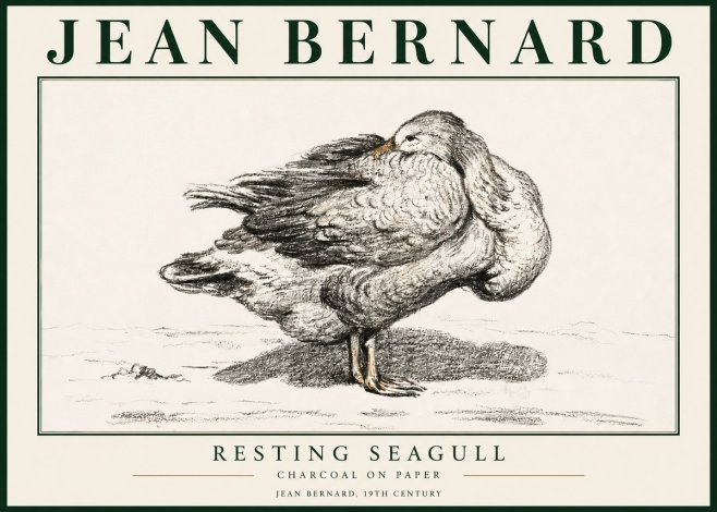 Jean Bernard Resting Seagull No3 - Poster
