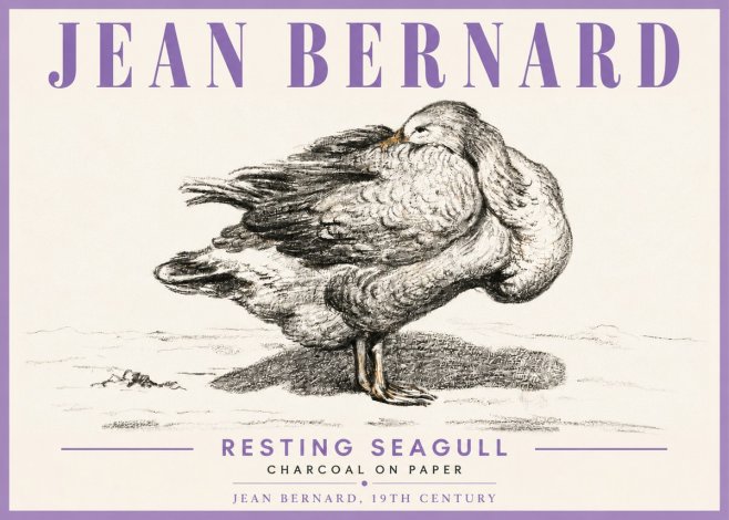 Jean Bernard Resting Seagull No6 - Poster