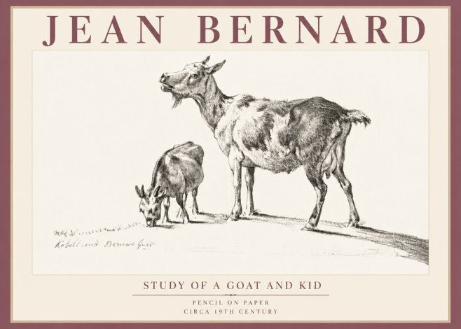 Jean Bernard Study of a Goat and Kid No5 - Poster