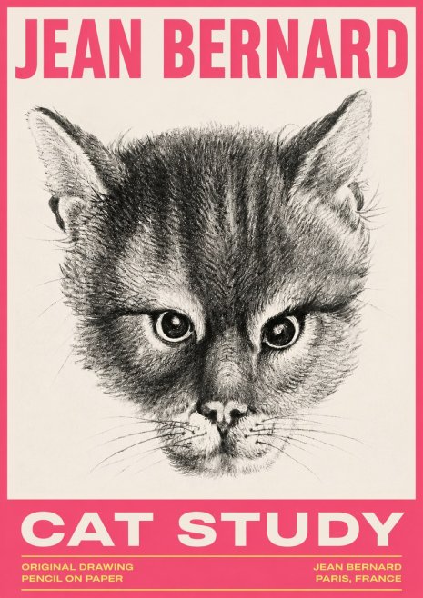 Jean Bernard Cat Study. Original Drawing No3 - Poster